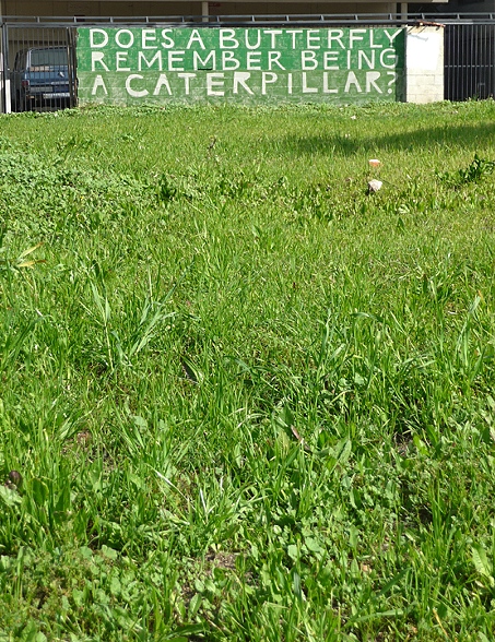 butterfly sign camererford ave, elkpen