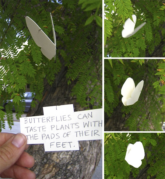 Flying Butterflies 